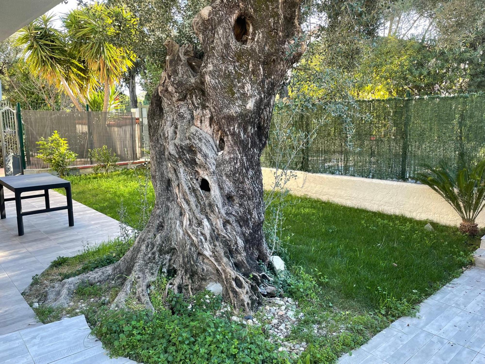 Joli Rez De Jardin 4 Pieces A Sur * Cagnes-sur-Mer
